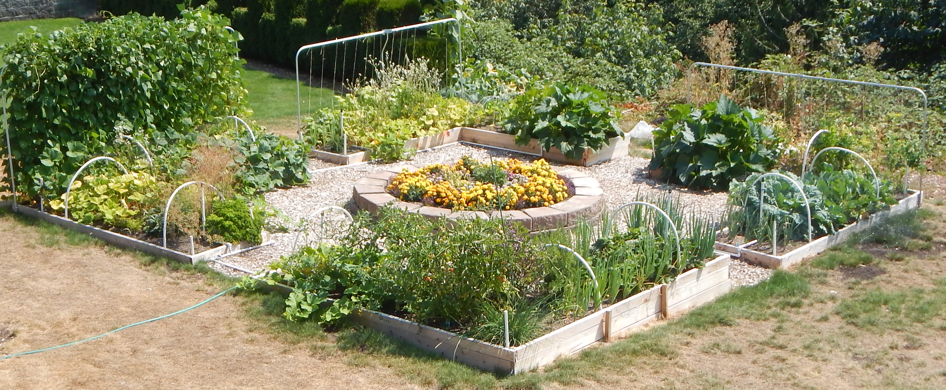 Raised Backyard Vegetable Garden